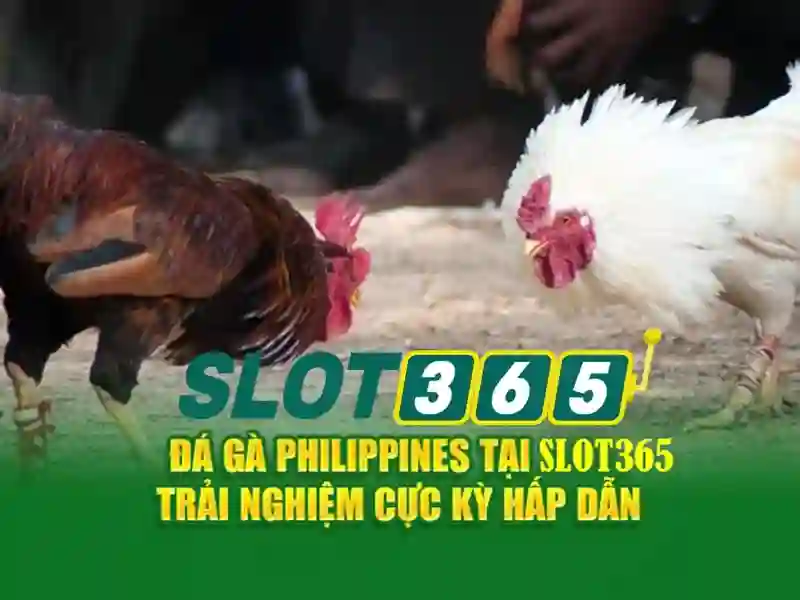 Mẹo chơi bắn cá 3 cây dễ ăn tiền nhà cái