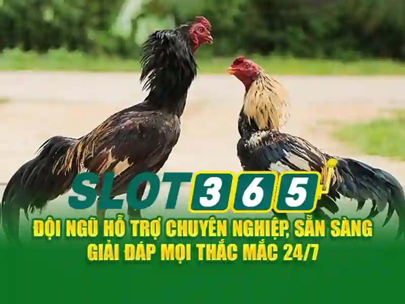 Mẹo chơi bắn cá 3 cây dễ ăn tiền nhà cái