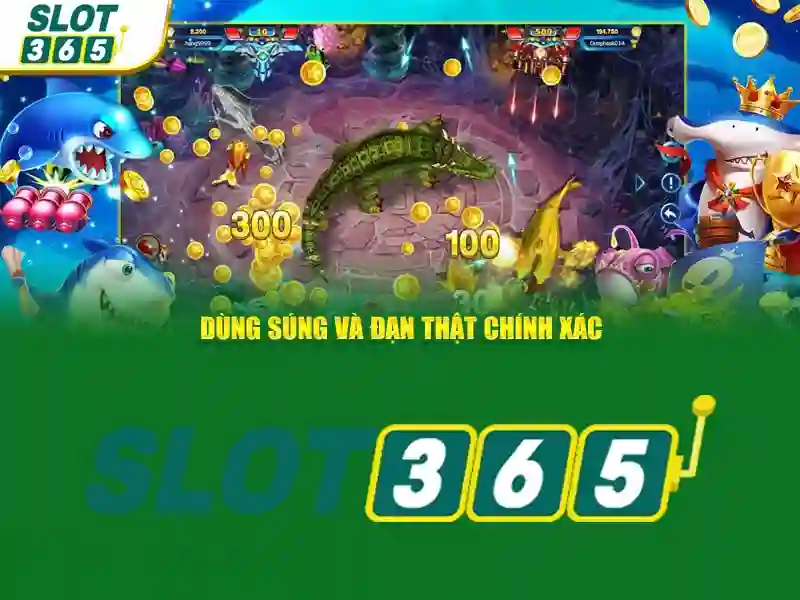 Kết luận