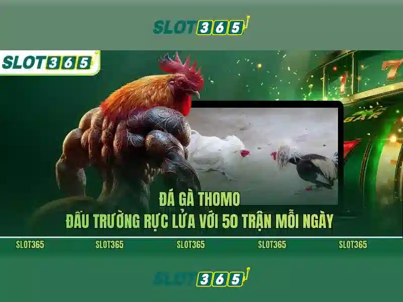Trò chơi đa dạng và cơ hội chiến thắng