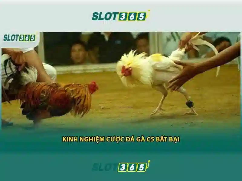 Giao diện thân thiện và trải nghiệm người dùng