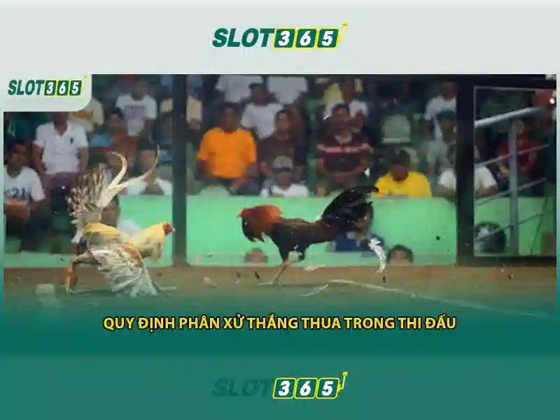 Tổng quan chủ đề và giá trị cốt lõi