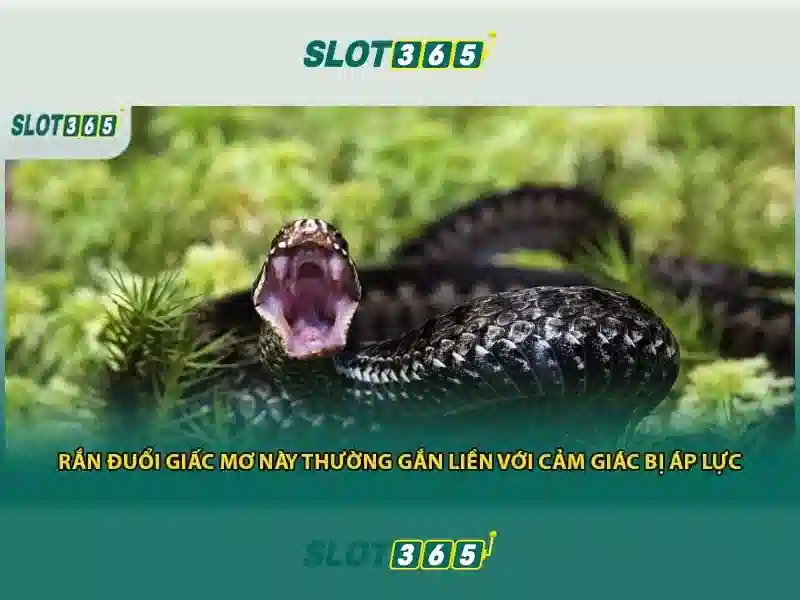 Hệ thống thanh toán và bảo mật