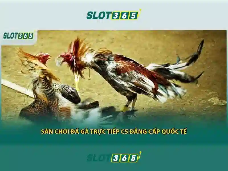 Đánh giá người dùng và an toàn