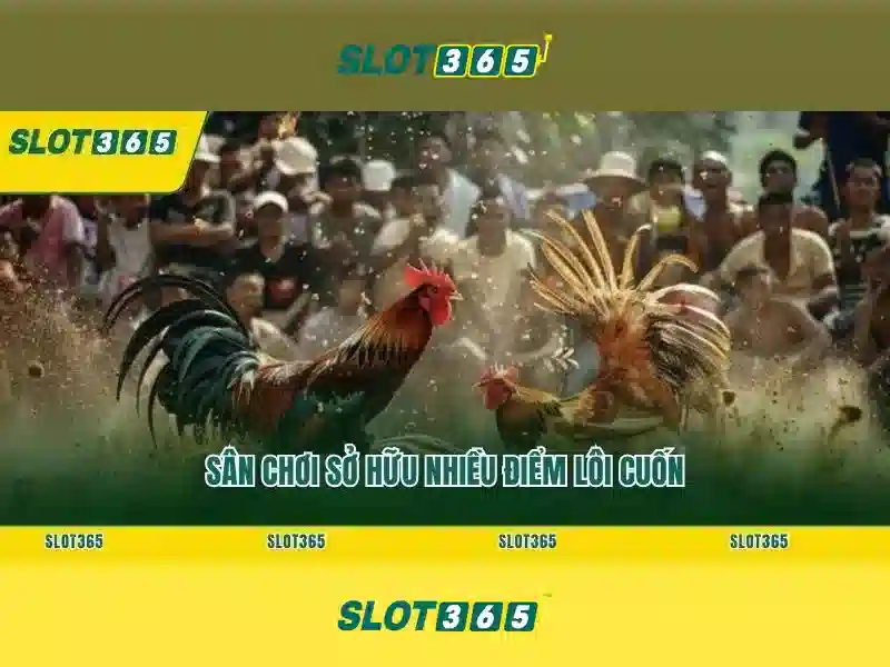 Trò chơi và trải nghiệm