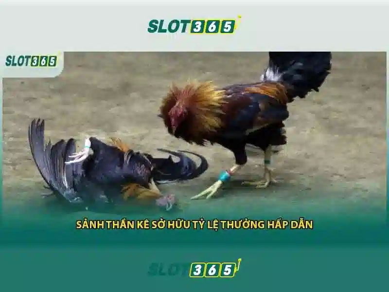 Slot365: Nền tảng casino trực tuyến uy tín