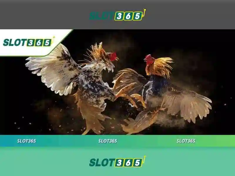 Slot365 - Nền tảng chơi slot trực tuyến an toàn