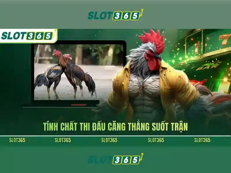 Danh sách trò chơi và nhà cung cấp