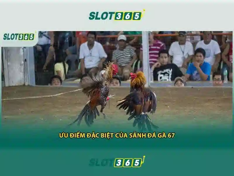 Slot365 là gì và tại sao được người chơi yêu thích