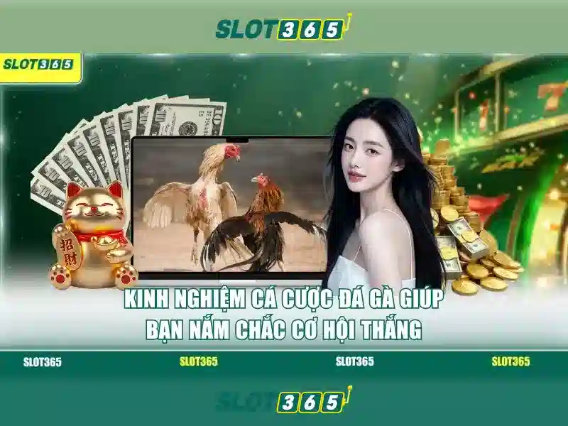 Danh gia cua nguoi dung ve Slot365
