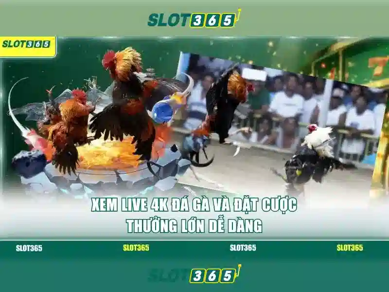 Danh mục trò chơi phong phú