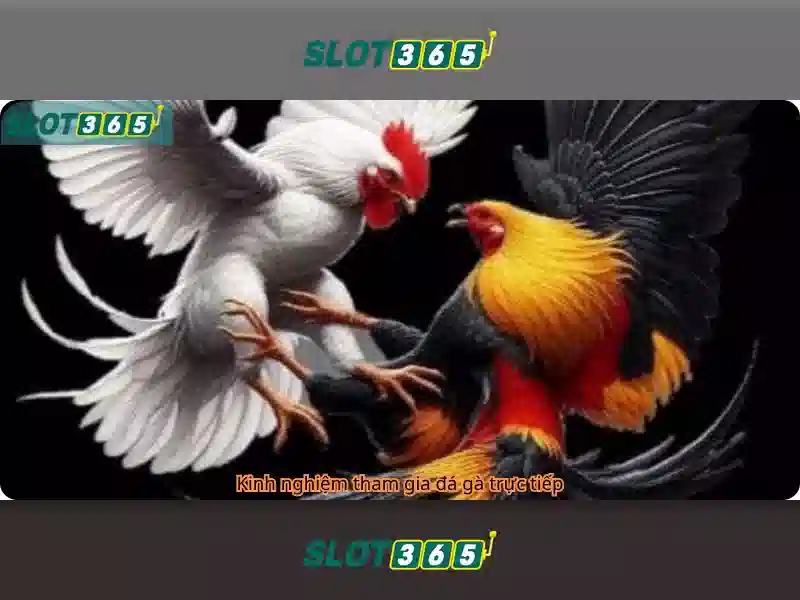 Mẹo chơi bắn cá 3 cây dễ ăn tiền nhà cái