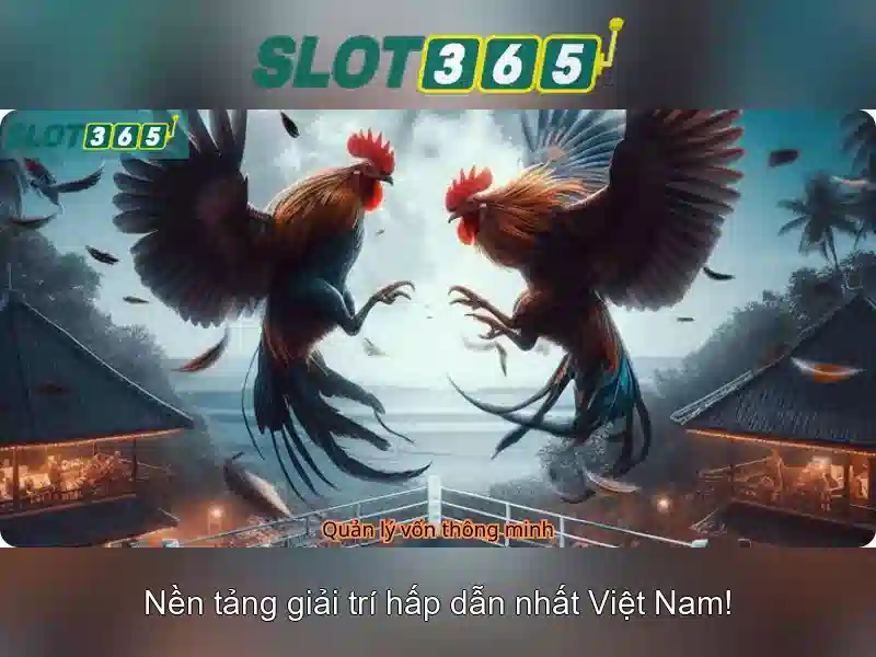 Nguồn gốc và sứ mệnh Slot365 rút tiền