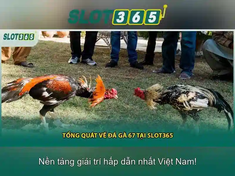 Tại sao chọn Slot365