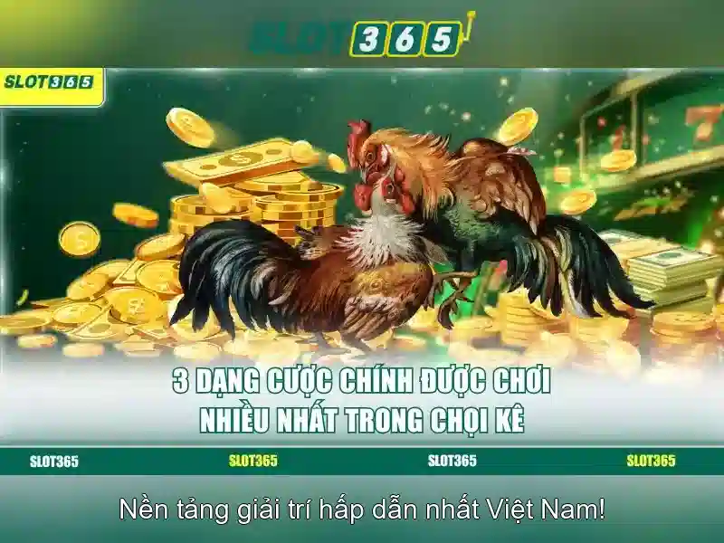 Hướng dẫn chơi Slot365 cho người mới