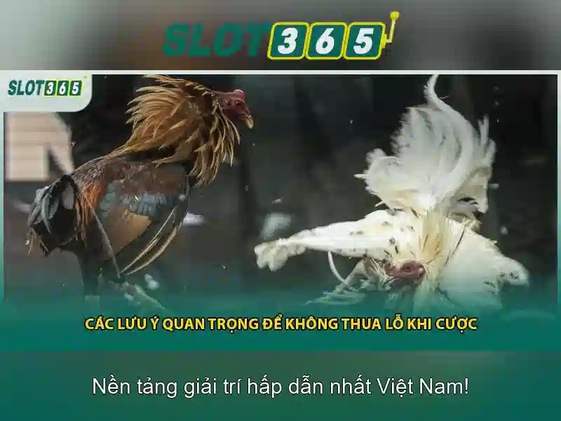 Mẹo chơi bắn cá 3 cây dễ ăn tiền nhà cái