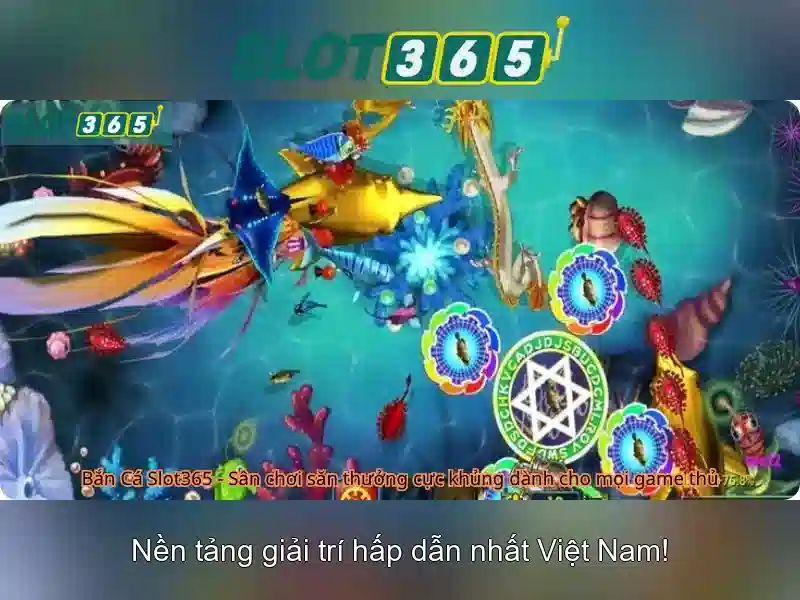 Hỗ trợ khách hàng và khuyến mãi