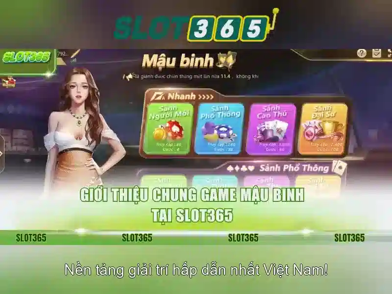 slot365-tai-tong-quan