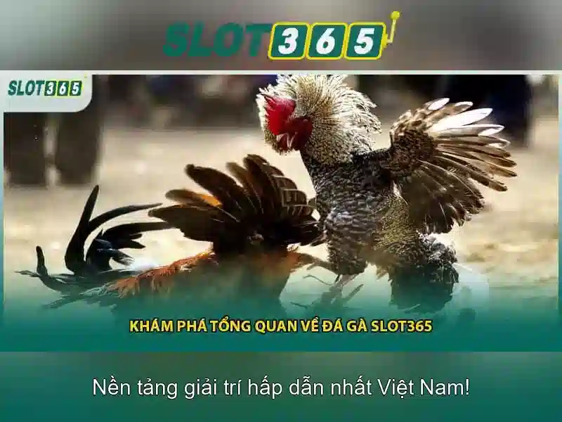 An toàn và thanh toán