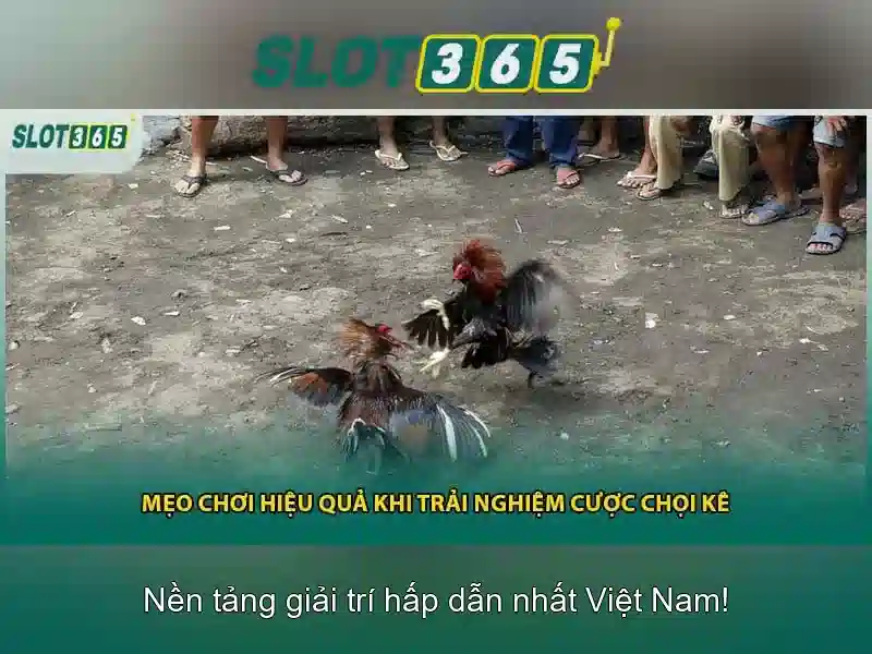 Các tính năng nổi bật và trải nghiệm người dùng