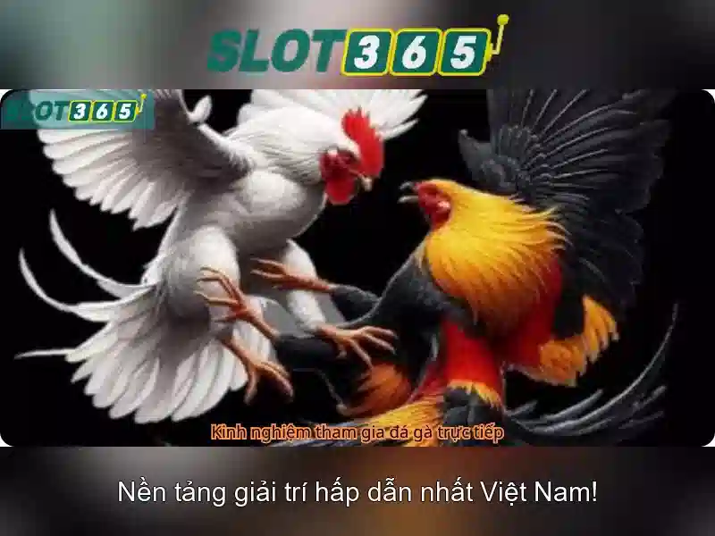 Lợi ích khi chơi ở Slot365