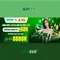 slot365 tại – Định vị thương hiệu và trải nghiệm Slot365
