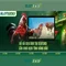 Slot365: Trải nghiệm máy xèng trực tuyến tuyệt vời