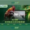Slot365 – Trải nghiệm slot trực tuyến đáng tin cậy ở Việt Nam