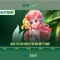 Slot365 - Đánh giá và Trải nghiệm