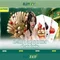 Slot365: Nền tảng slots trực tuyến đáng tin cậy
