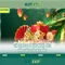 Slot365 là gì và những điểm nổi bật