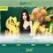 Slot365: Nền tảng chơi slot trực tuyến hiện đại và an toàn