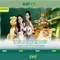 Slot365: khám phá thế giới trò chơi máy đánh bạc trực tuyến