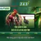 Slot365: Đánh giá, trò chơi và ưu đãi