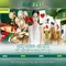 Slot365 - Đánh giá và hướng dẫn chơi slots trực tuyến