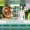 Slot365: Tổng quan về nền tảng trò chơi trực tuyến