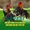 Slot365 là gì? - Tổng quan về nền tảng cá cược trực tuyến
