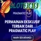 Slot365: Nền tảng giải trí casino trực tuyến phổ biến